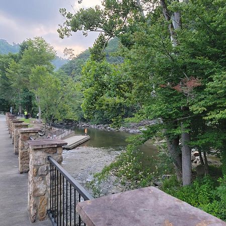 Bear Necessities, Luxury 5Bd Mtn Views, Hot Tub, Many Bear Sightings Βίλα Gatlinburg Εξωτερικό φωτογραφία