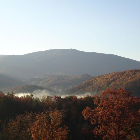 Bear Necessities, Luxury 5Bd Mtn Views, Hot Tub, Many Bear Sightings Βίλα Gatlinburg Εξωτερικό φωτογραφία