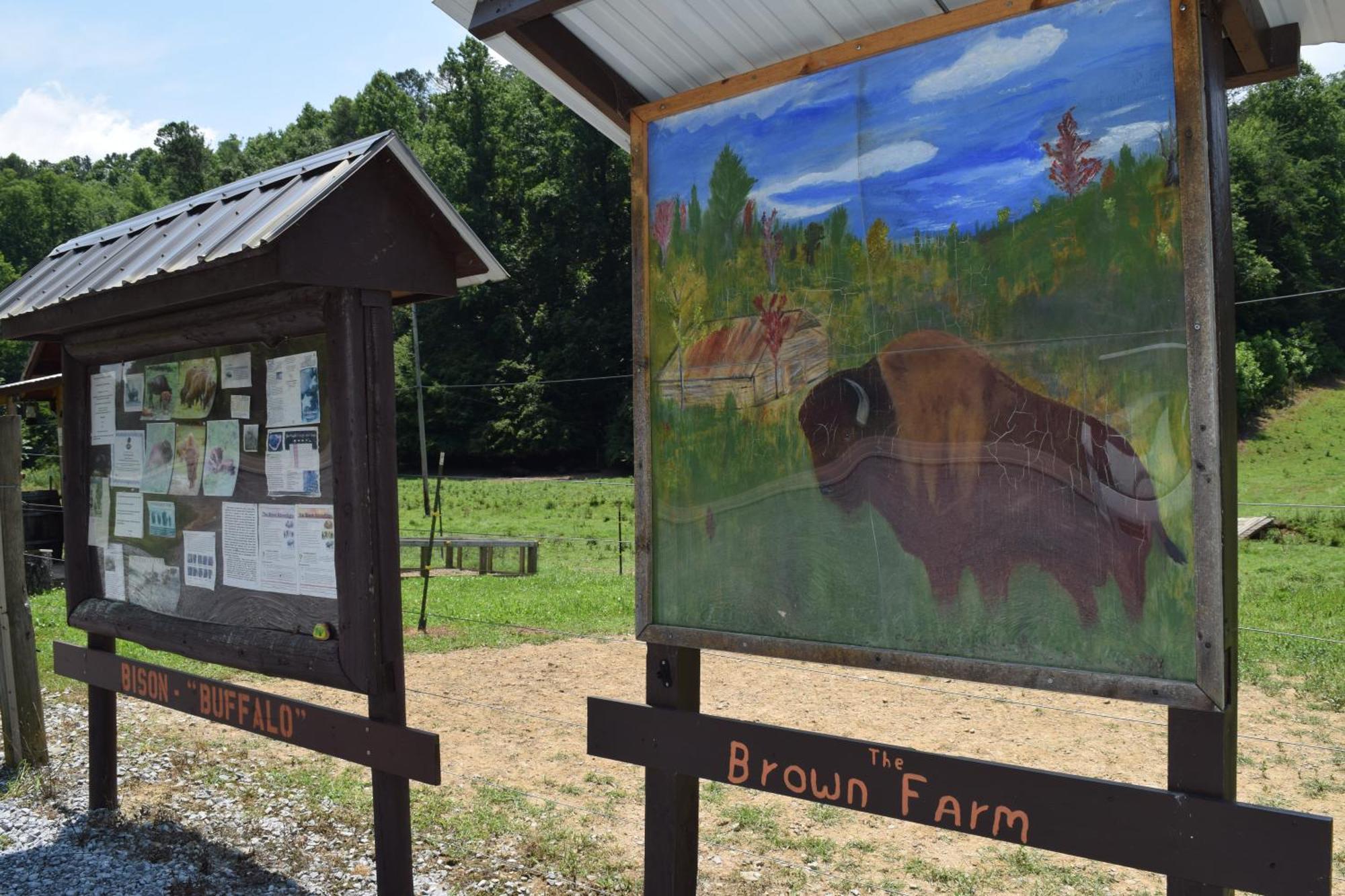 Bear Necessities, Luxury 5Bd Mtn Views, Hot Tub, Many Bear Sightings Βίλα Gatlinburg Εξωτερικό φωτογραφία