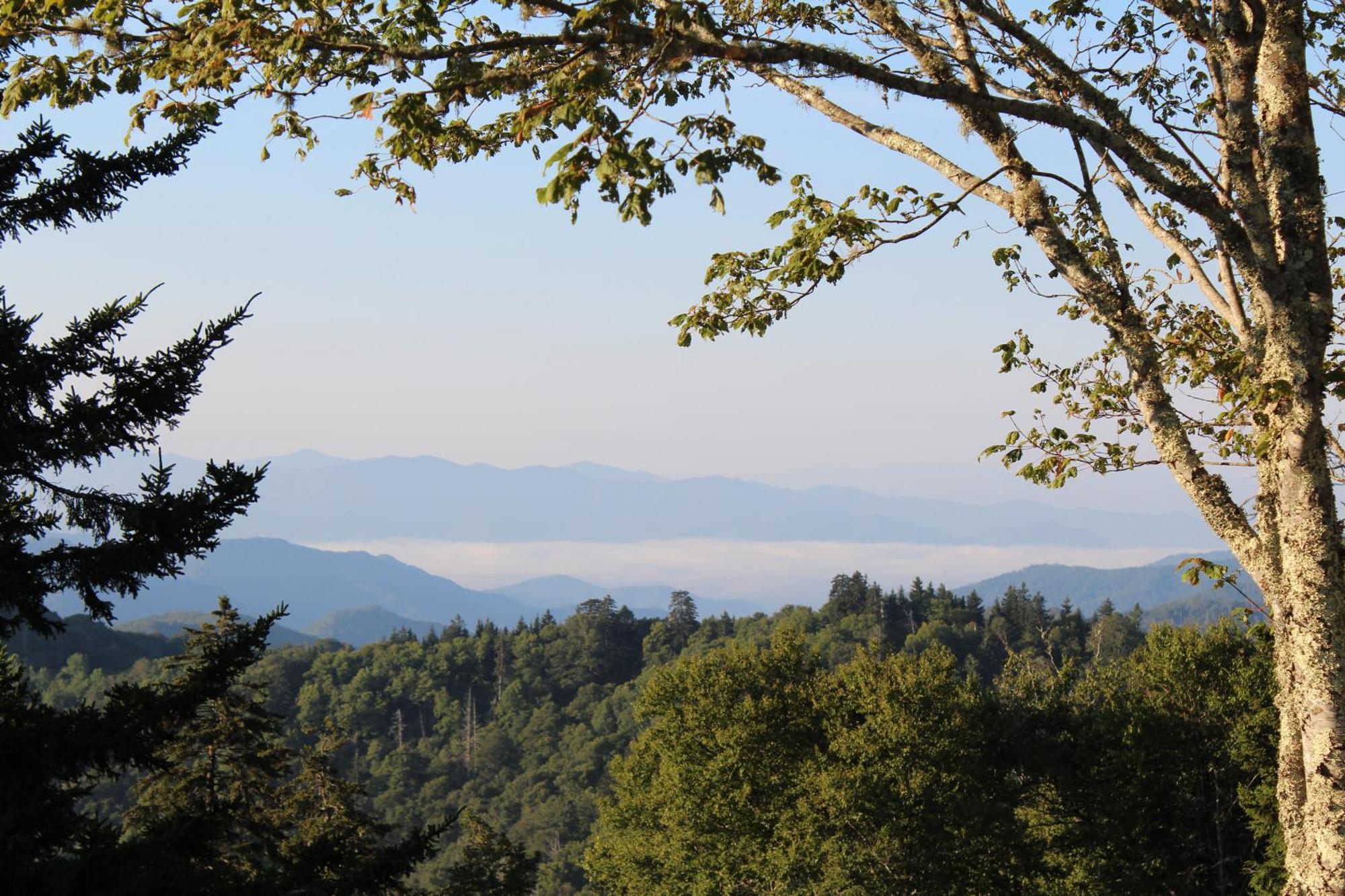 Bear Necessities, Luxury 5Bd Mtn Views, Hot Tub, Many Bear Sightings Βίλα Gatlinburg Εξωτερικό φωτογραφία