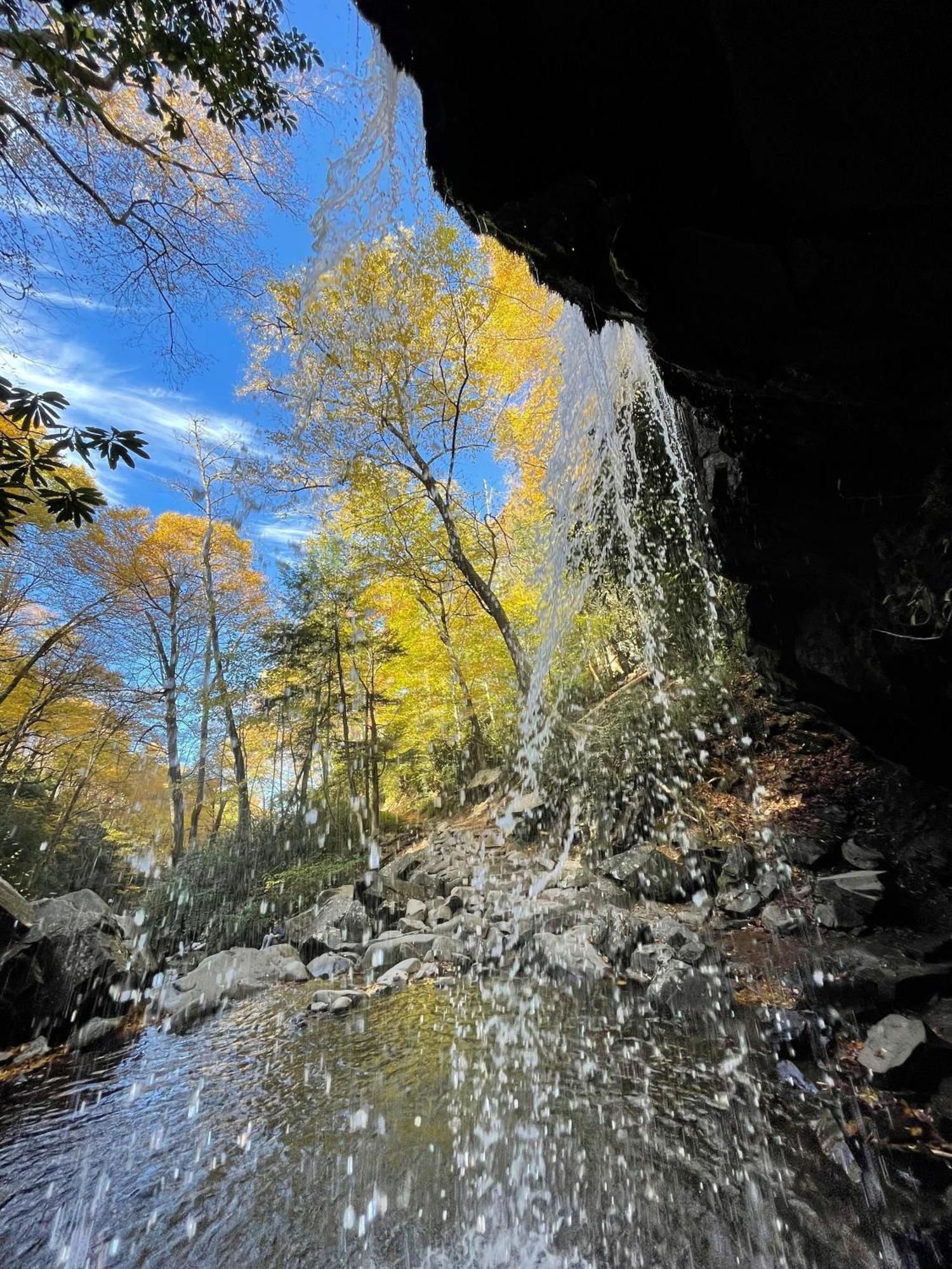 Bear Necessities, Luxury 5Bd Mtn Views, Hot Tub, Many Bear Sightings Βίλα Gatlinburg Εξωτερικό φωτογραφία