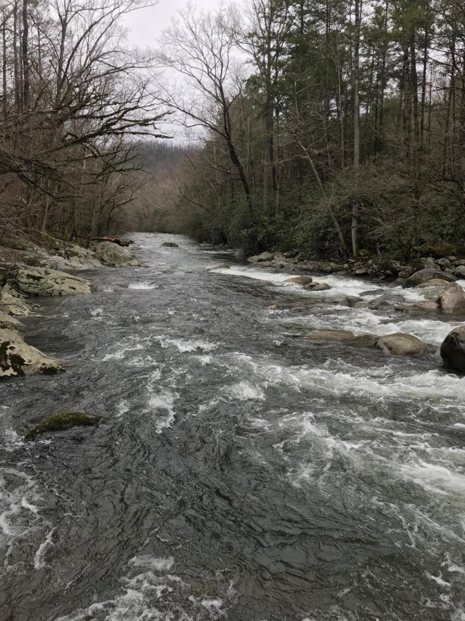 Bear Necessities, Luxury 5Bd Mtn Views, Hot Tub, Many Bear Sightings Βίλα Gatlinburg Εξωτερικό φωτογραφία