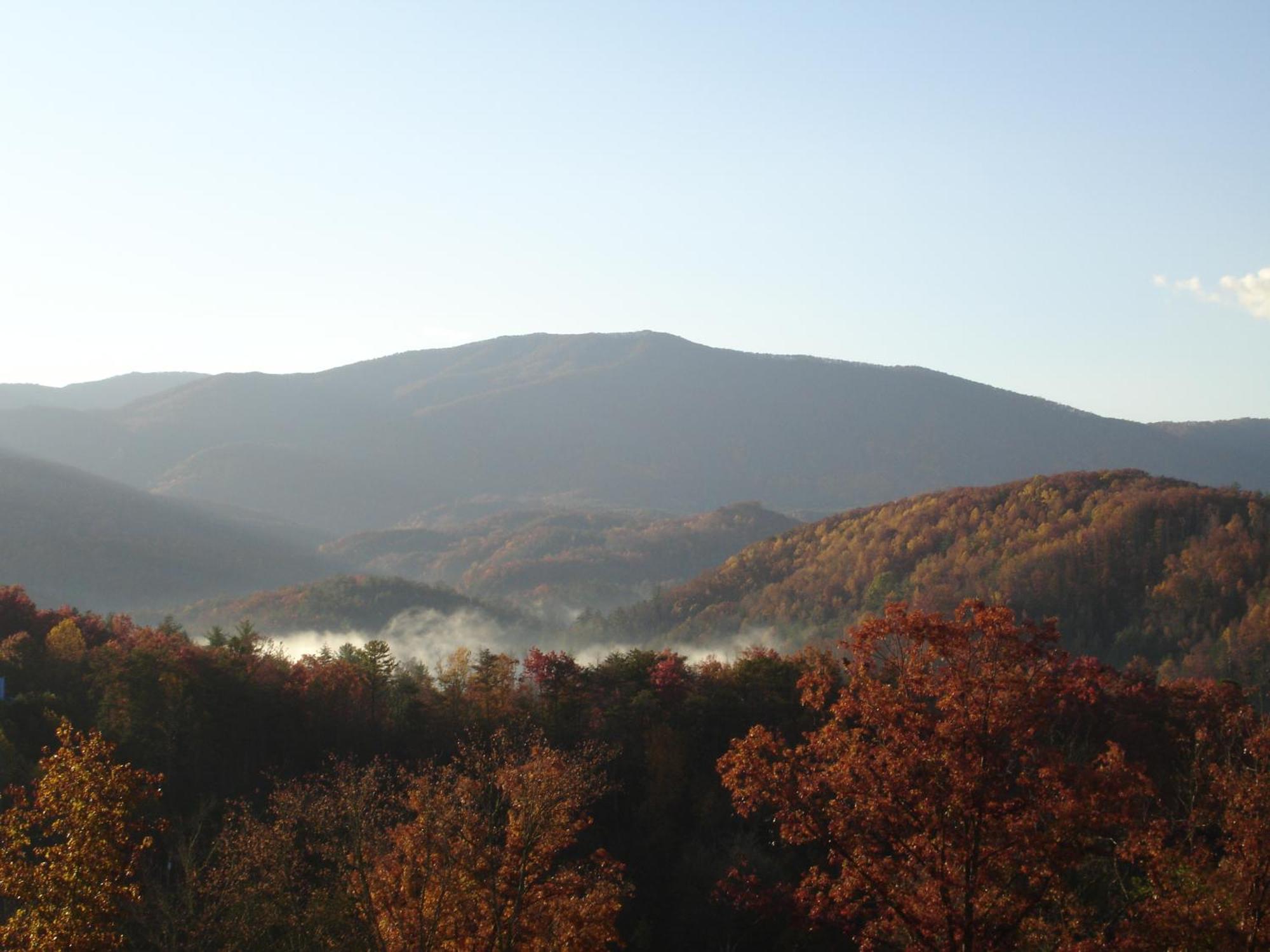 Bear Necessities, Luxury 5Bd Mtn Views, Hot Tub, Many Bear Sightings Βίλα Gatlinburg Εξωτερικό φωτογραφία