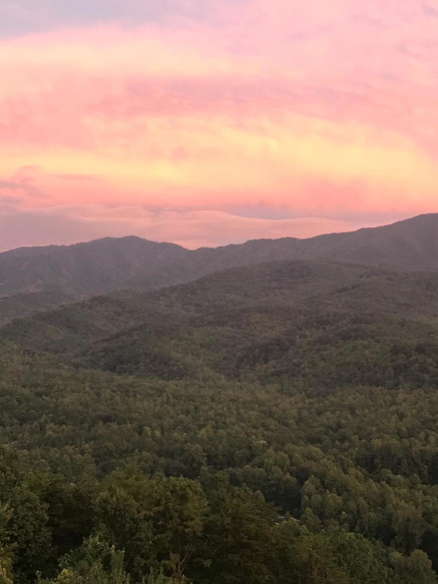 Bear Necessities, Luxury 5Bd Mtn Views, Hot Tub, Many Bear Sightings Βίλα Gatlinburg Εξωτερικό φωτογραφία