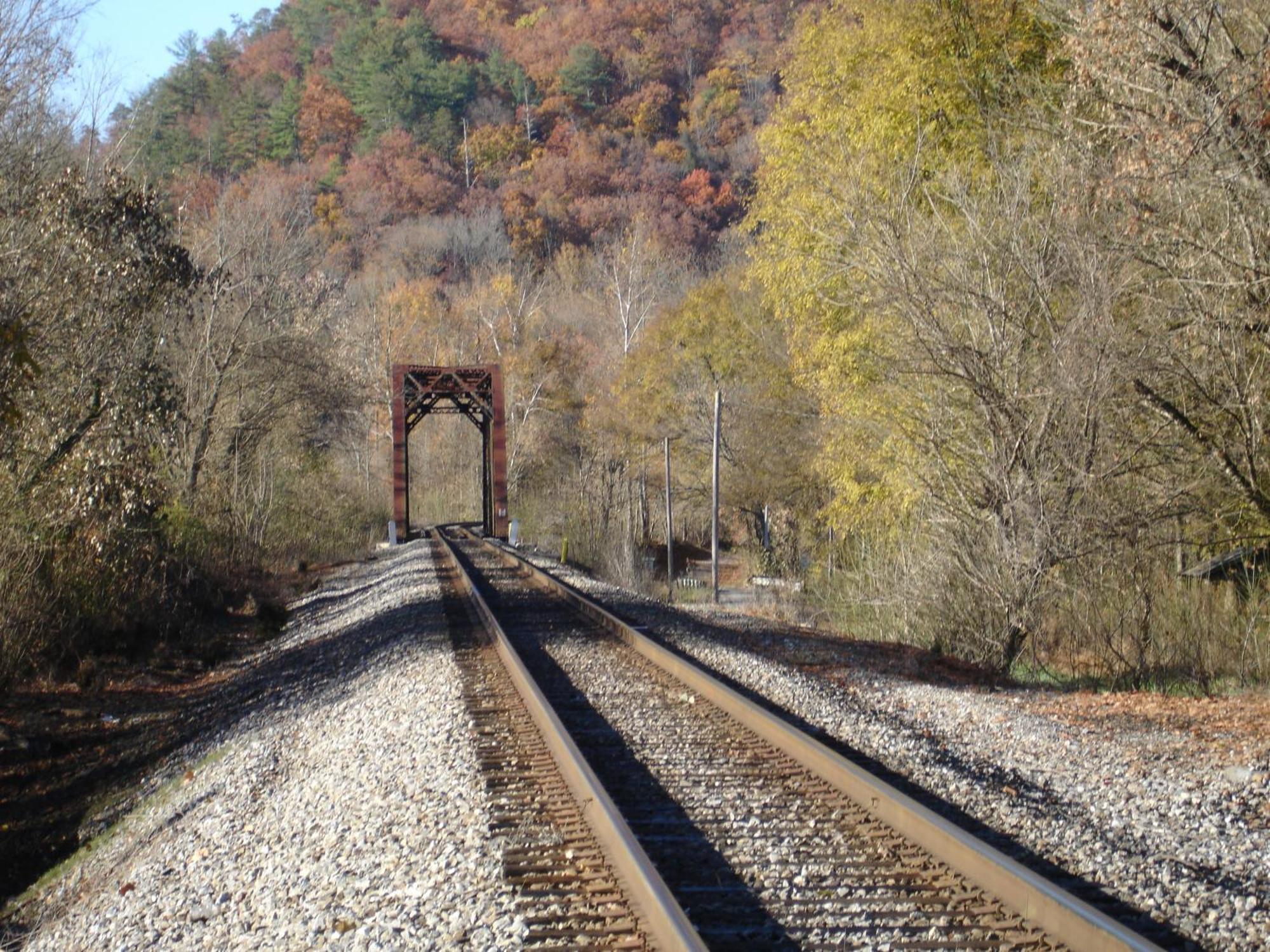 Bear Necessities, Luxury 5Bd Mtn Views, Hot Tub, Many Bear Sightings Βίλα Gatlinburg Εξωτερικό φωτογραφία