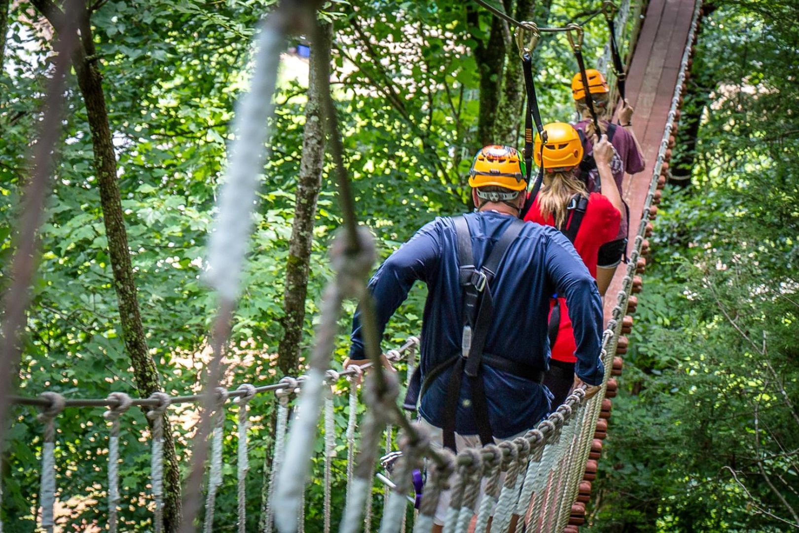 Bear Necessities, Luxury 5Bd Mtn Views, Hot Tub, Many Bear Sightings Βίλα Gatlinburg Εξωτερικό φωτογραφία