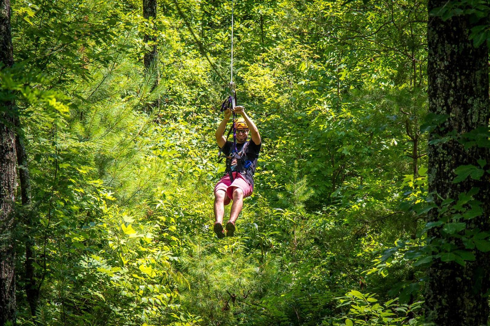 Bear Necessities, Luxury 5Bd Mtn Views, Hot Tub, Many Bear Sightings Βίλα Gatlinburg Εξωτερικό φωτογραφία