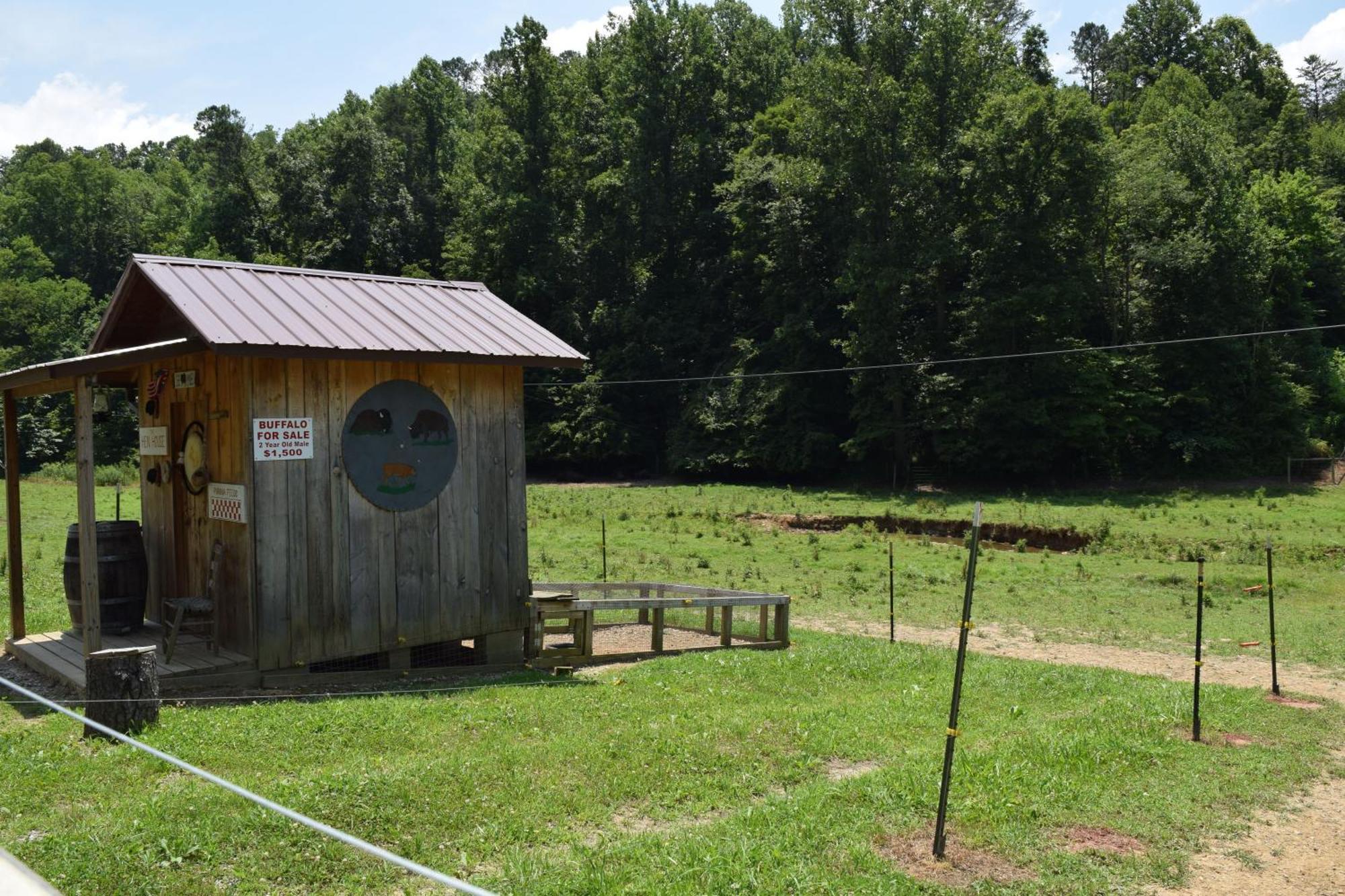 Bear Necessities, Luxury 5Bd Mtn Views, Hot Tub, Many Bear Sightings Βίλα Gatlinburg Εξωτερικό φωτογραφία