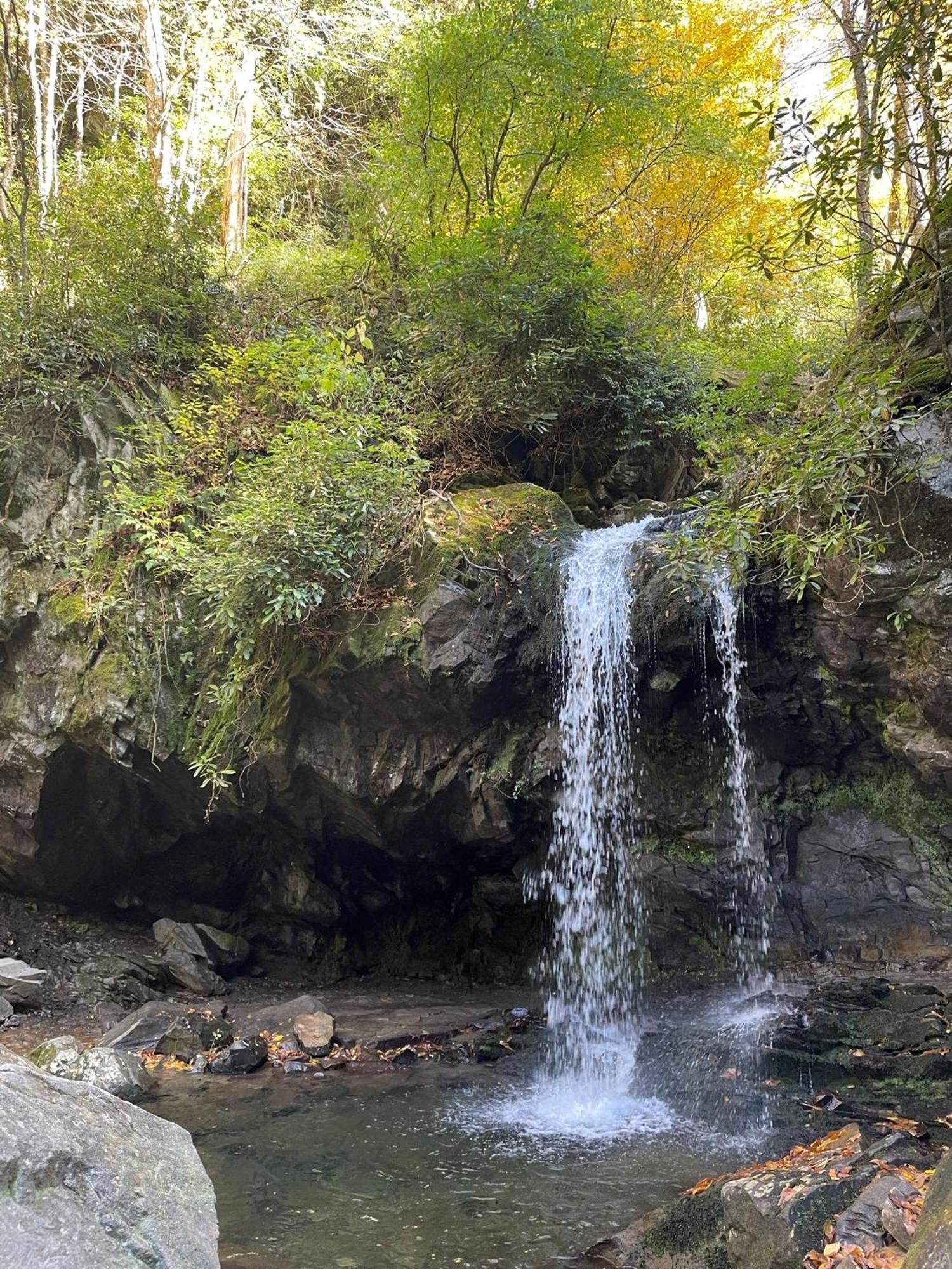 Bear Necessities, Luxury 5Bd Mtn Views, Hot Tub, Many Bear Sightings Βίλα Gatlinburg Εξωτερικό φωτογραφία
