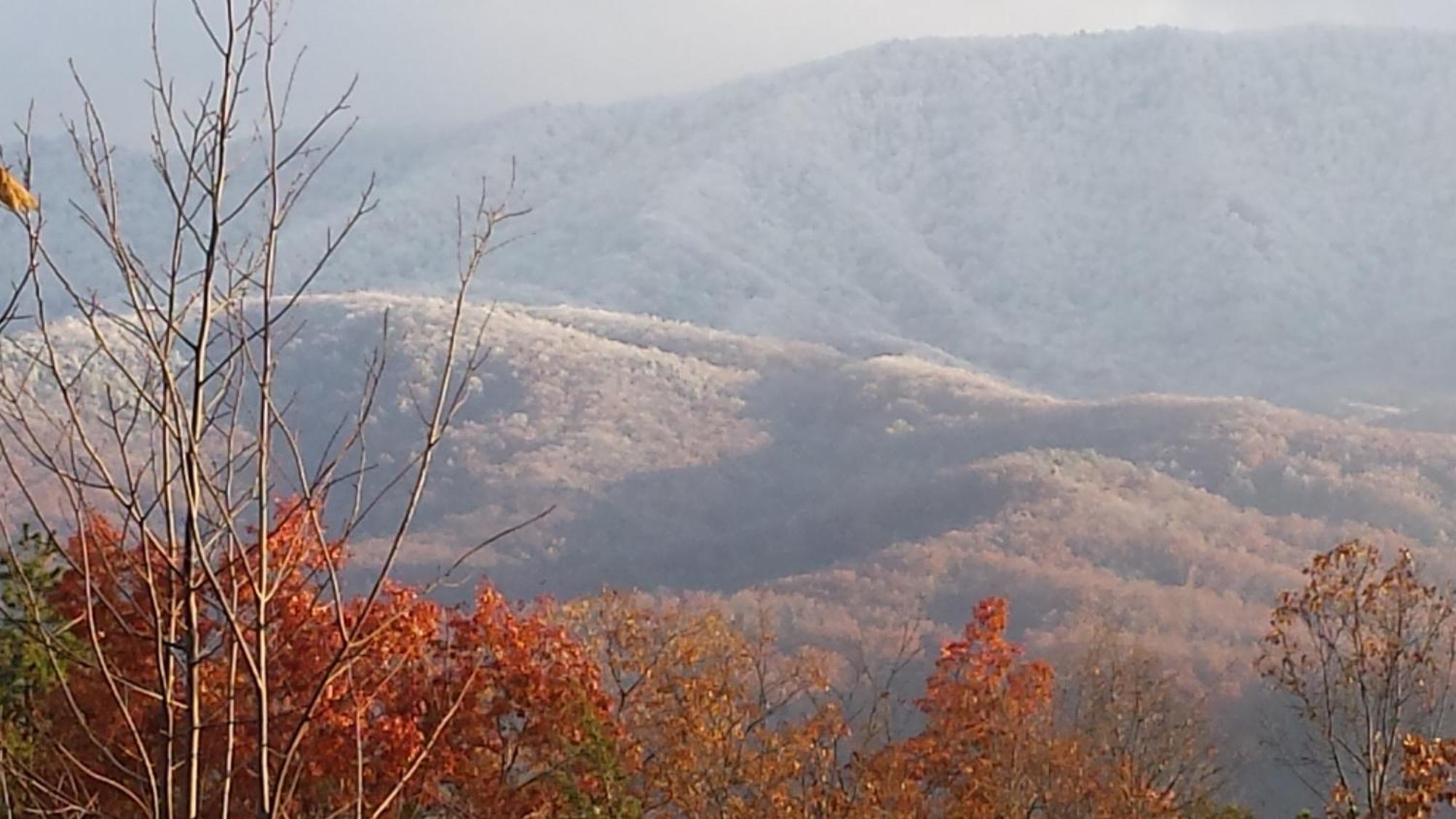 Bear Necessities, Luxury 5Bd Mtn Views, Hot Tub, Many Bear Sightings Βίλα Gatlinburg Εξωτερικό φωτογραφία